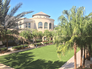 201612_GaylordPalms.png