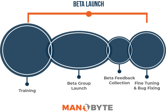 Beta Launch Phase of CRM Implementation Projects with ManoByte