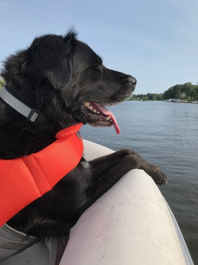 Cindy's dog max