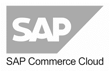 SAP SAP