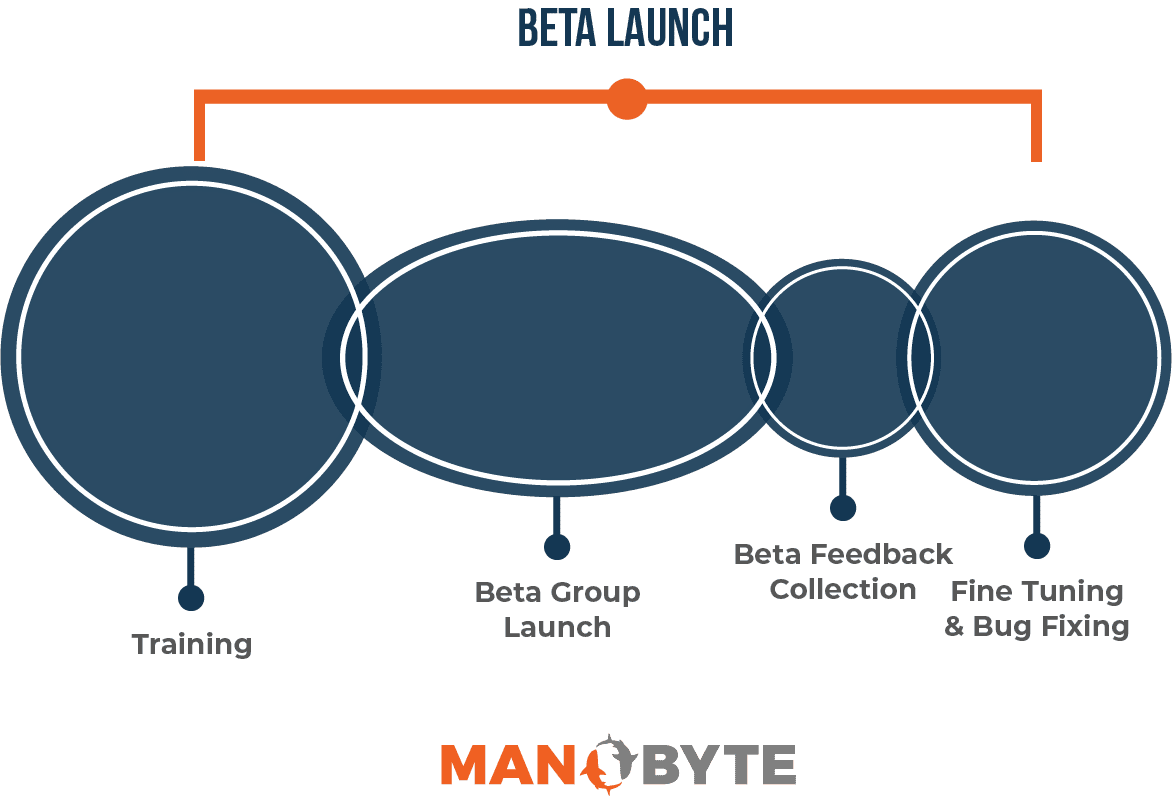 Beta Launch Phase of CRM Implementation Projects with ManoByte